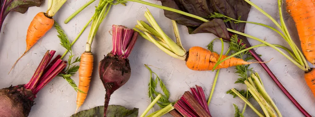 Best Vegetables for Rabbits