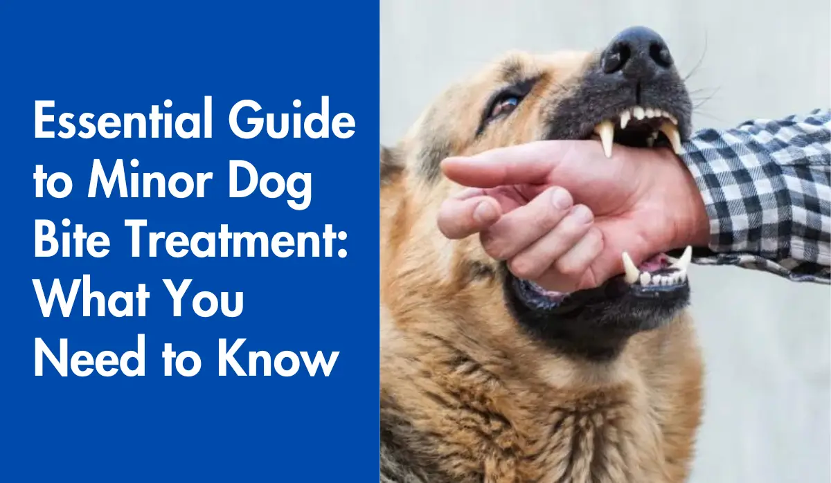 Essential Guide to Minor Dog Bite Treatment: What You Need to Know