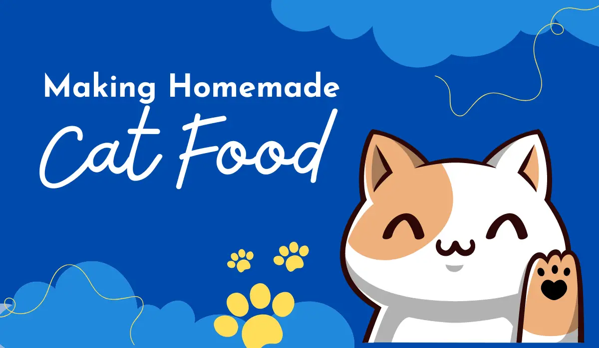 Making Homemade Cat Food: Better, Easier, Happier