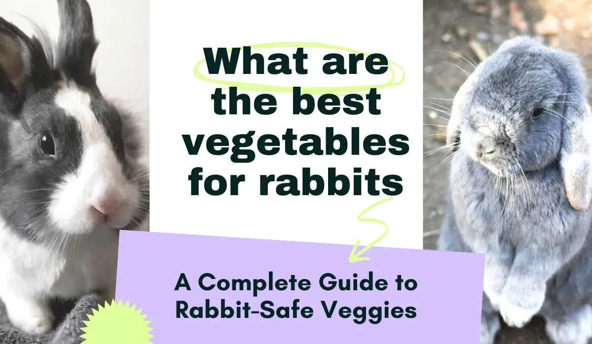 What are the best vegetables for rabbits