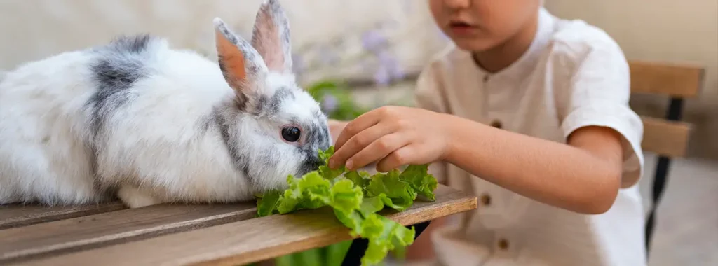 vegetables for rabbits