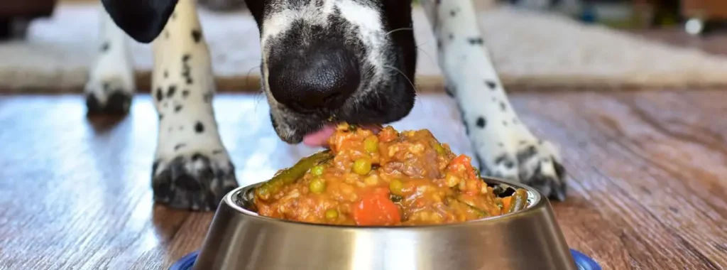 Fresh Food for Dogs with Allergies