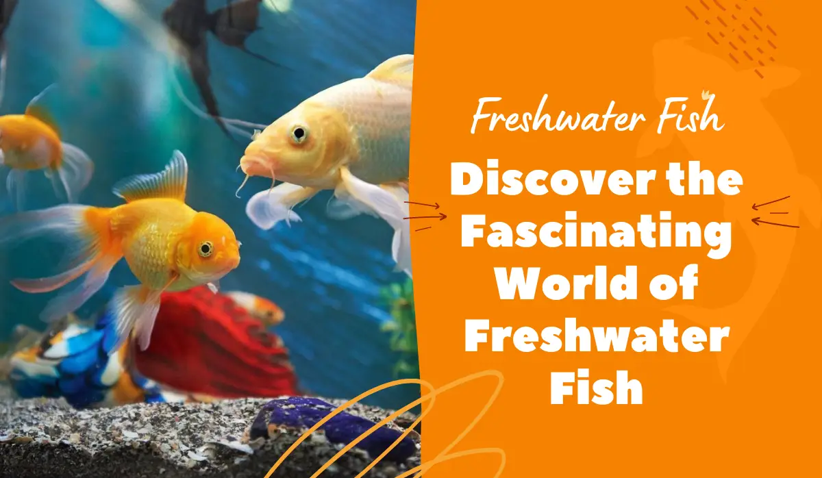 Discover the Fascinating World of Freshwater Fish: A Complete Guide