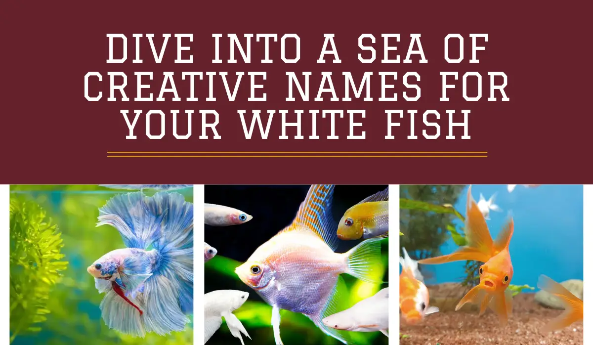 The Ultimate Guide to White Fish Name Ideas