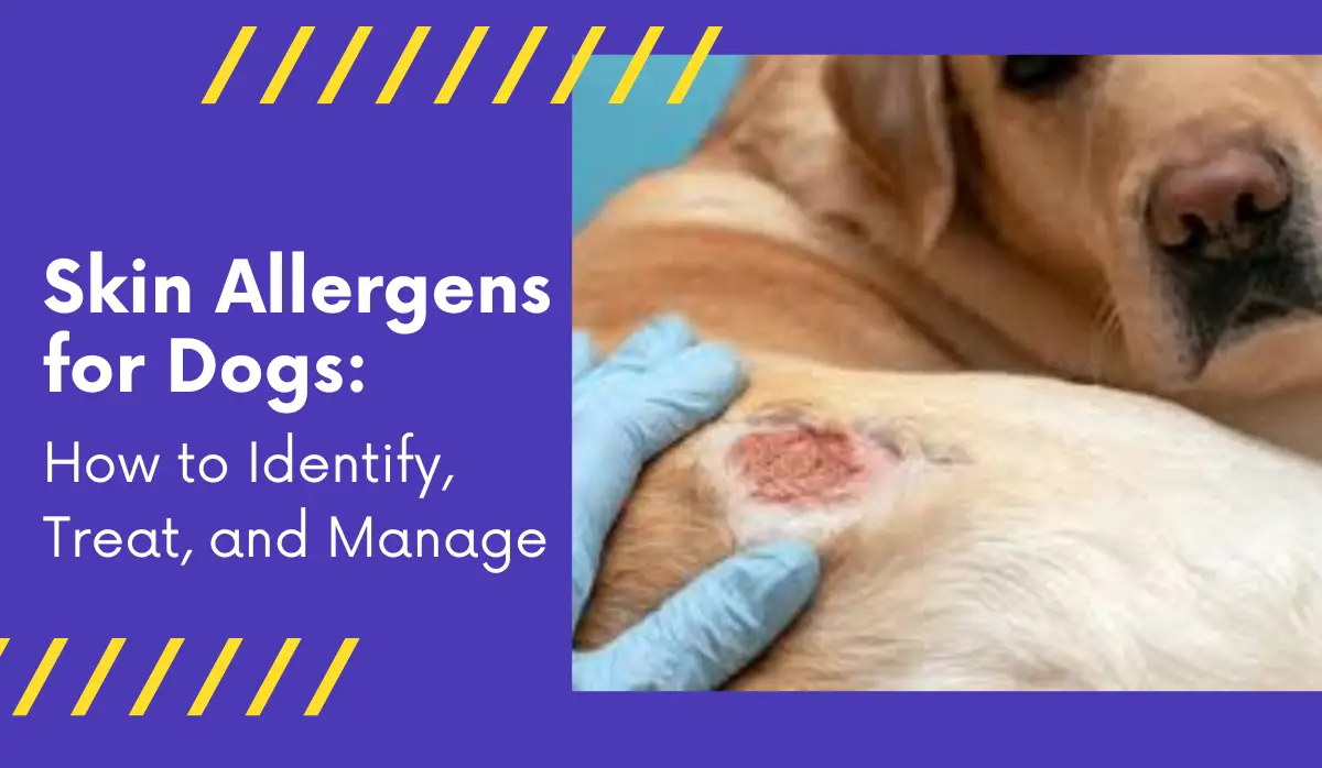 Skin Allergens for Dogs: How to Identify, Treat, and Manage