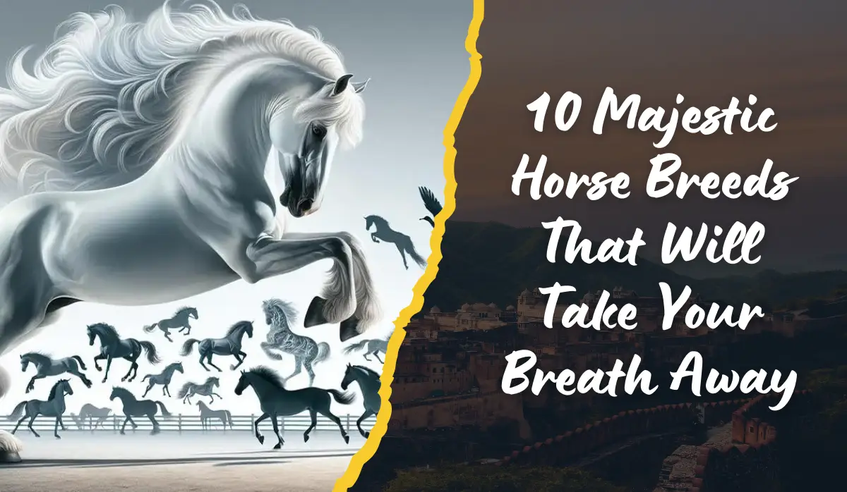 Ultimate Guide: Spectacular Horse Breeds You’ll Love