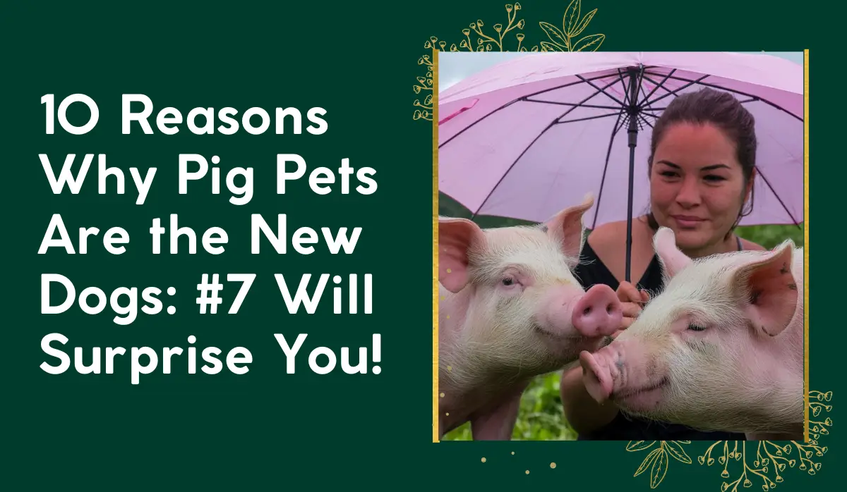 10 Reasons Why Pig Pets Are the New Dogs: #7 Will Surprise You!