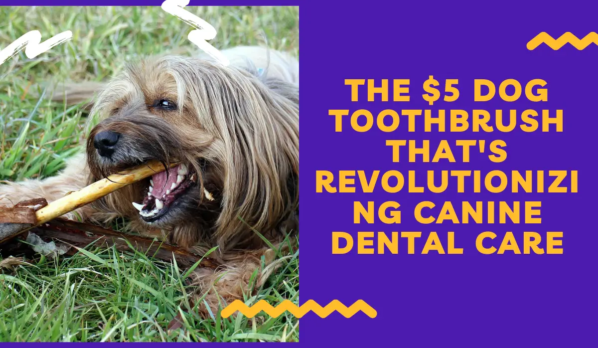 The $5 Dog Toothbrush That’s Revolutionizing Canine Dental Care