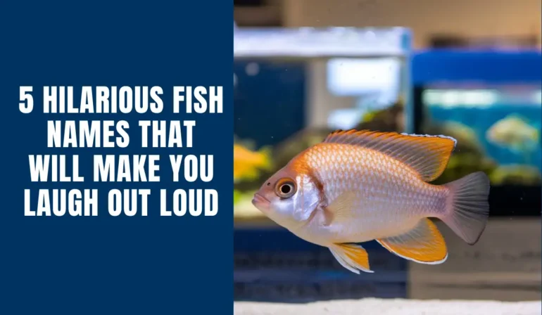 5 Hilarious Fish Names That Will Make You Laugh Out Loud