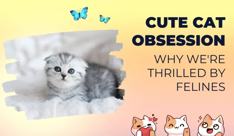 Cute Cat Alert: Discover the Magic Behind Their Adorable Appeal