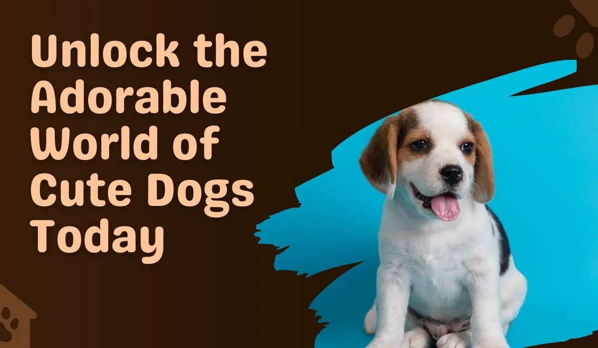 The Ultimate Guide to Cute Dog: Everything You Need to Know