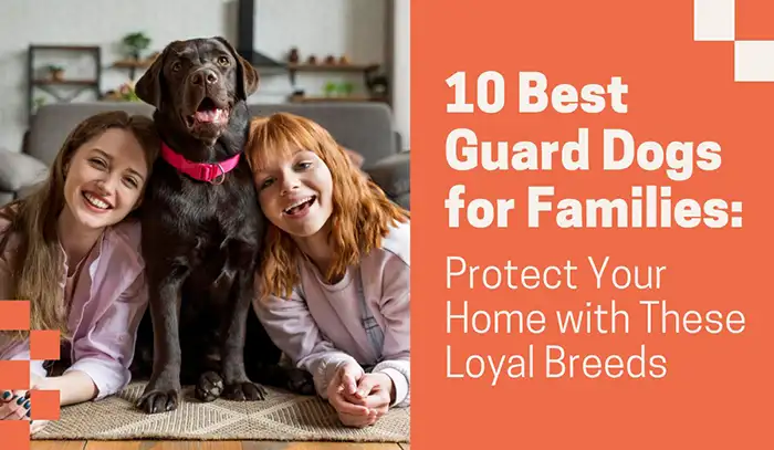 10 Best Guard Dogs for Families in 2025