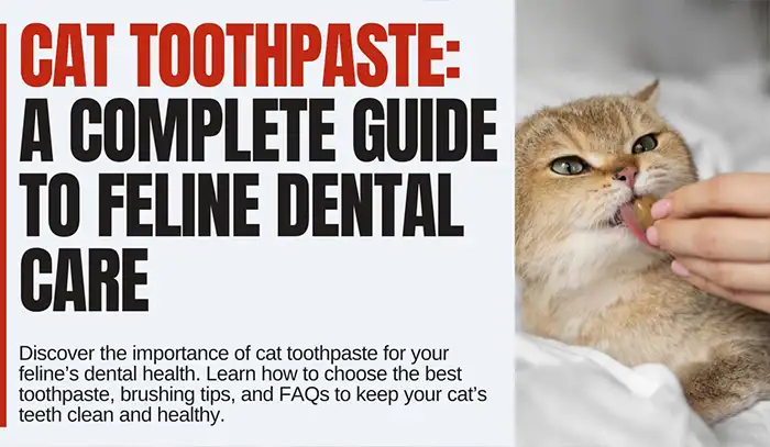 Cat Toothpaste: Why It’s Essential for Your Feline’s Dental Health